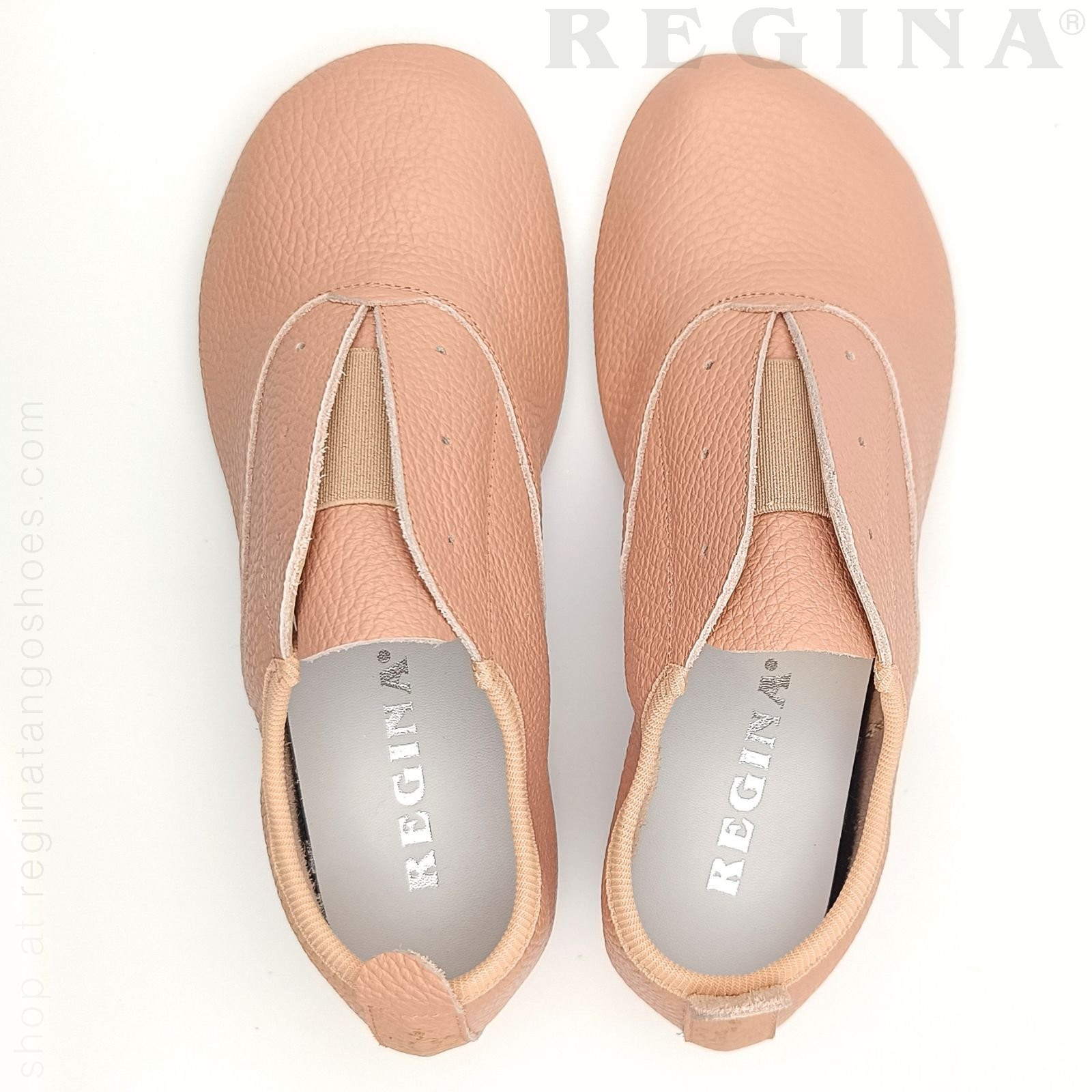 Regina Taurus rosa - huvudbild